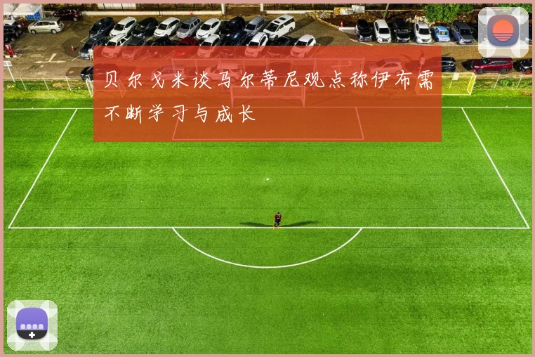 贝尔戈米谈马尔蒂尼观点称伊布需不断学习与成长