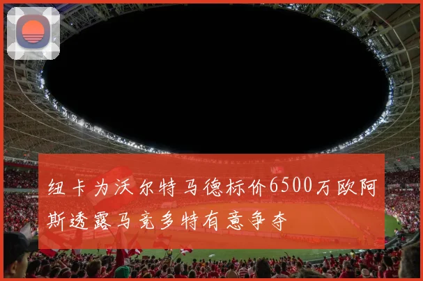 纽卡为沃尔特马德标价6500万欧阿斯透露马竞多特有意争夺